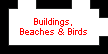 Buildings, Beaches & Birds
