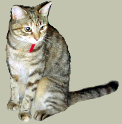 [Sophia Catt]