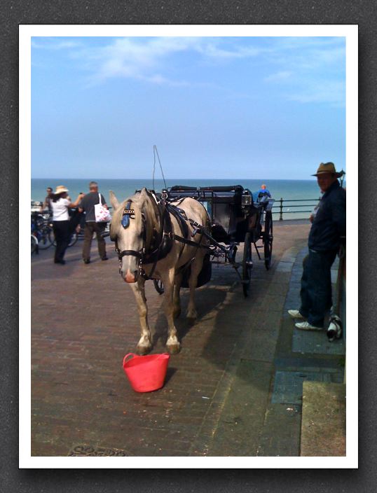 Horse and Buggy