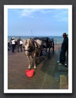 Horse and Buggy