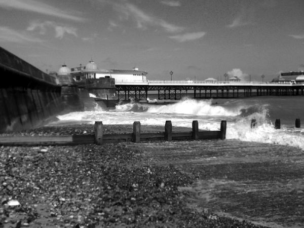 Wild Waves