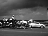 Horse and Buggy