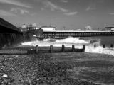 Wild Waves