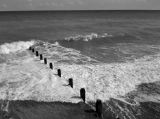 Frothy Foam